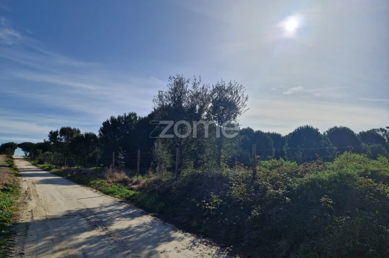 Terreno para Venda em Pegões Foto 18