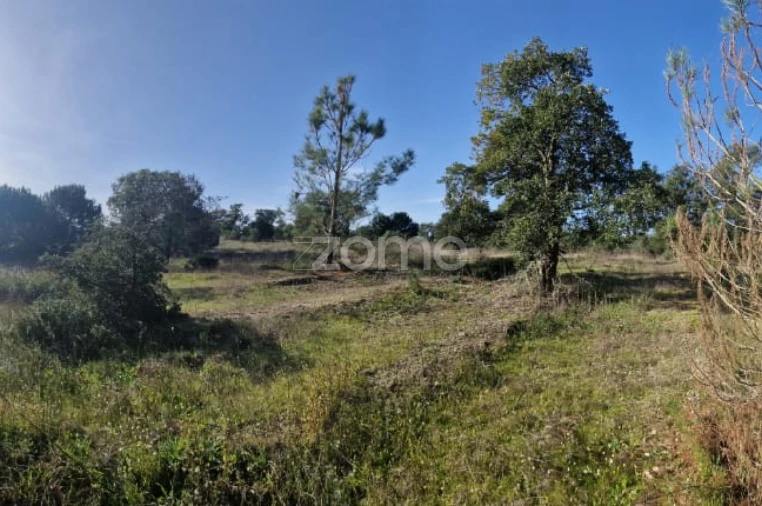 Terreno para Venda em Pegões Foto 20