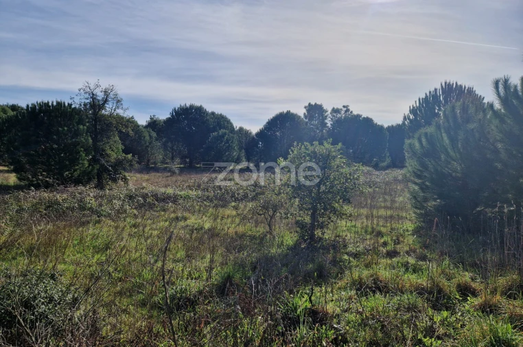 Terreno para Venda em Pegões Foto 13