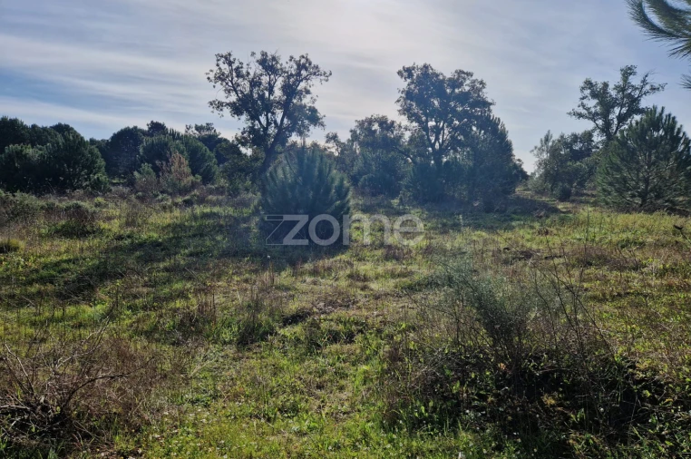 Terreno para Venda em Pegões Foto 9