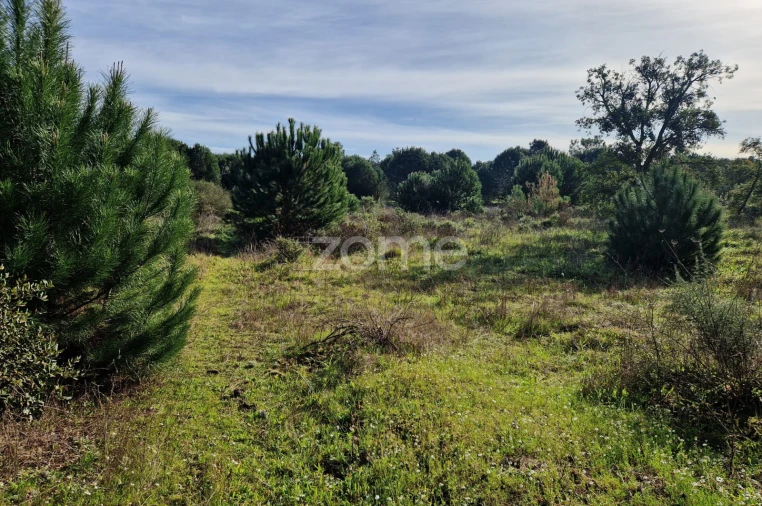 Terreno para Venda em Pegões Foto 7