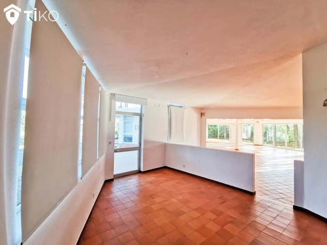 Negócio para Venda em Torreira Foto 12