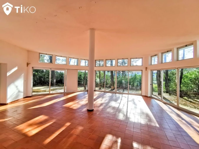 Negócio para Venda em Torreira Foto 10