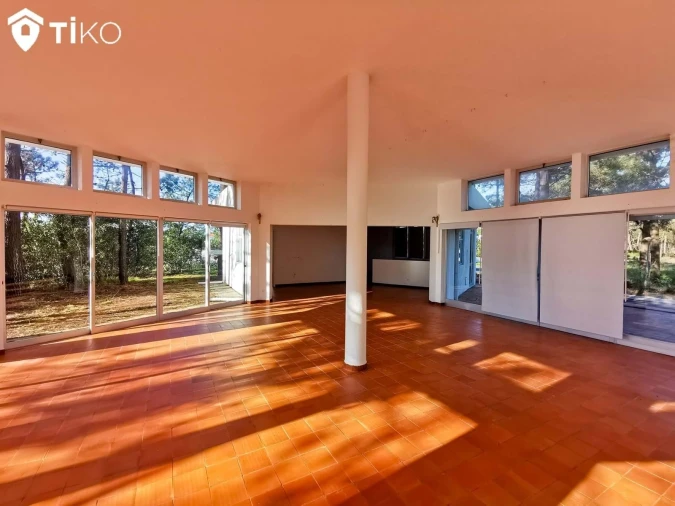 Negócio para Venda em Torreira Foto 16