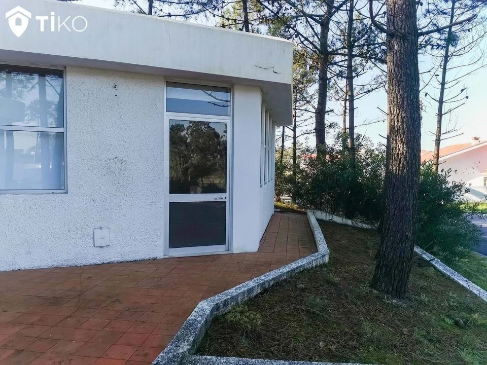 Negócio para Venda em Torreira Foto 4