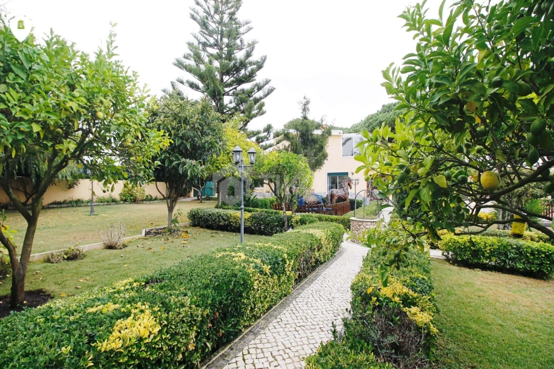 Quinta T3 para Venda em Agualva e Mira-Sintra Foto 7