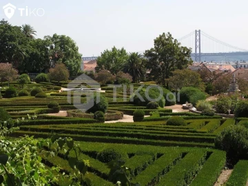 Terreno para Venda em Ajuda