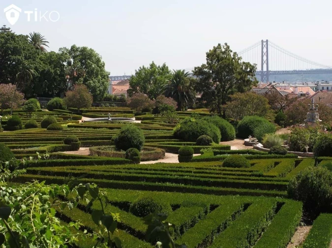 Terreno para Venda em Ajuda Foto 4