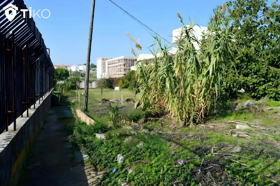 Terreno para Venda em Ajuda Foto 10