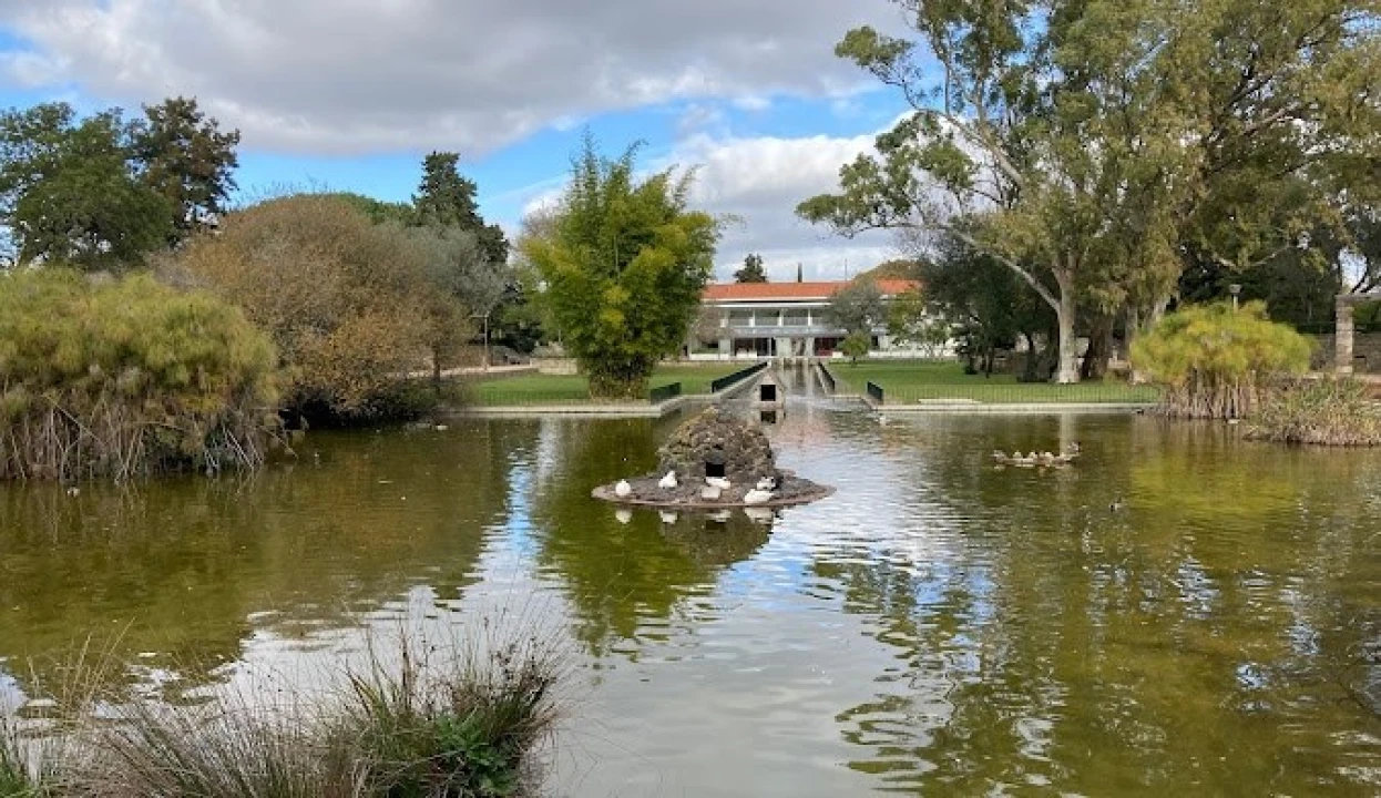 Terreno para Venda em Ajuda Foto 18