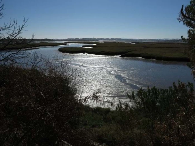 Negócio para Venda em Corroios Foto 20