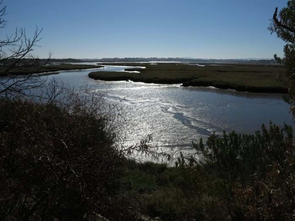 Negócio para Venda em Corroios Foto 20