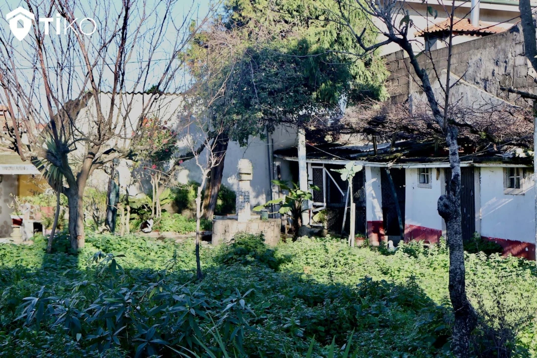 Moradia T3 para Venda em Azurara Foto 33