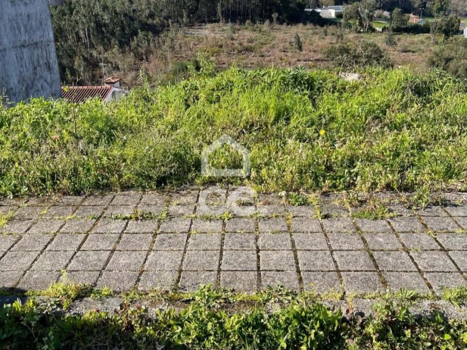 Terreno para Venda em Coronado (São Romão e São Mamede) Foto 11