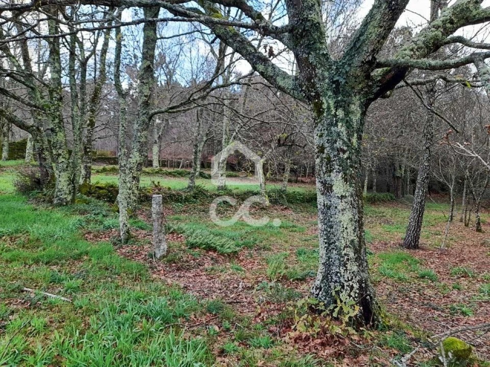 Quinta para Venda em Alcofra Foto 23