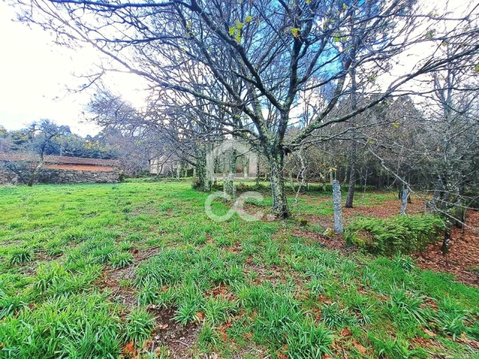 Quinta para Venda em Alcofra Foto 4