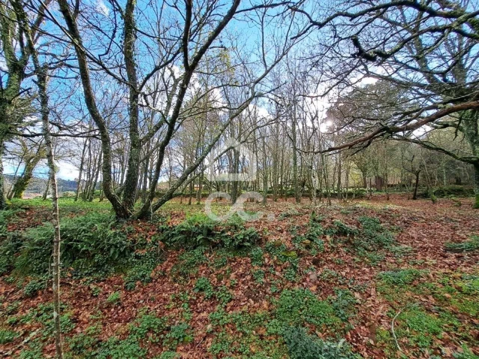 Quinta para Venda em Alcofra Foto 5