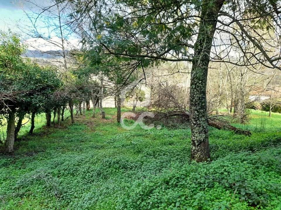 Quinta para Venda em Alcofra Foto 14