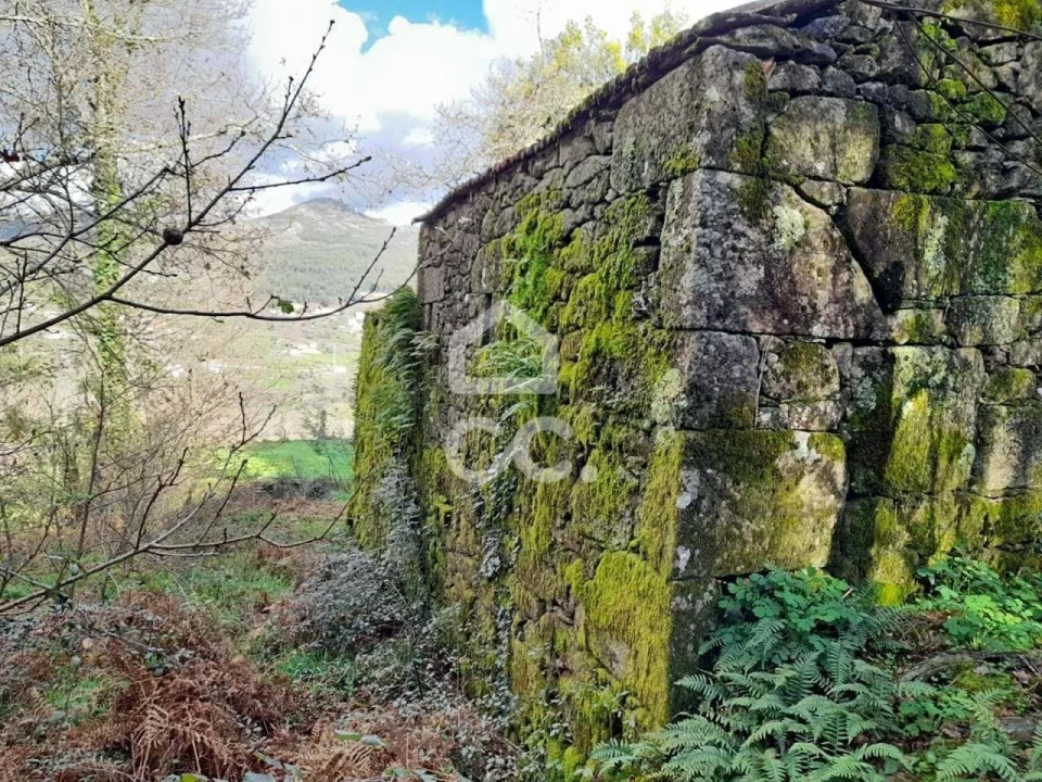 Quinta para Venda em Alcofra Foto 13