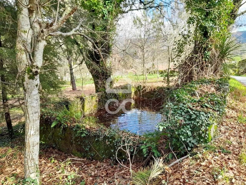 Quinta para Venda em Alcofra Foto 15