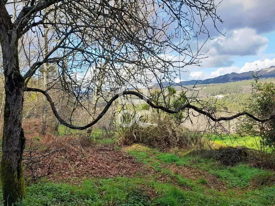 Quinta para Venda em Alcofra Foto 11
