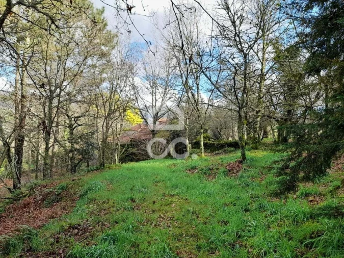 Quinta para Venda em Alcofra Foto 9