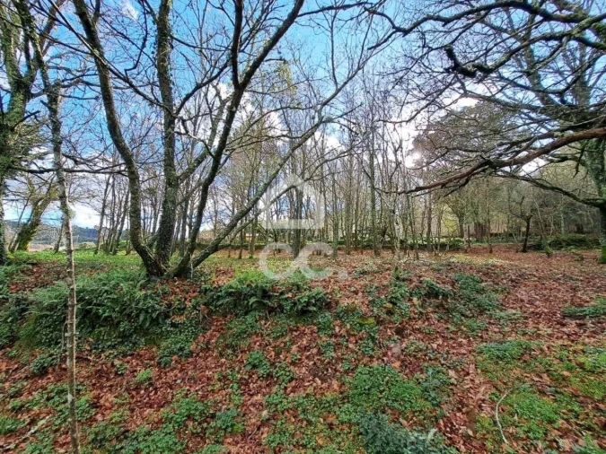 Quinta para Venda em Alcofra Foto 5