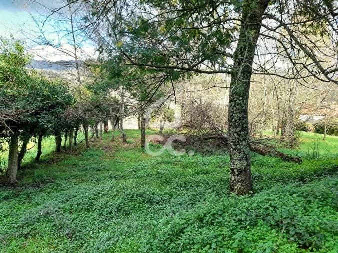 Quinta para Venda em Alcofra Foto 14