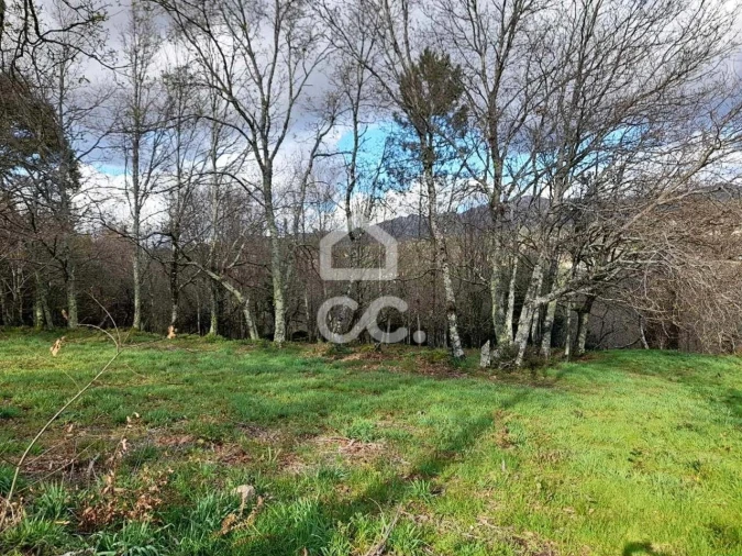 Quinta para Venda em Alcofra Foto 19