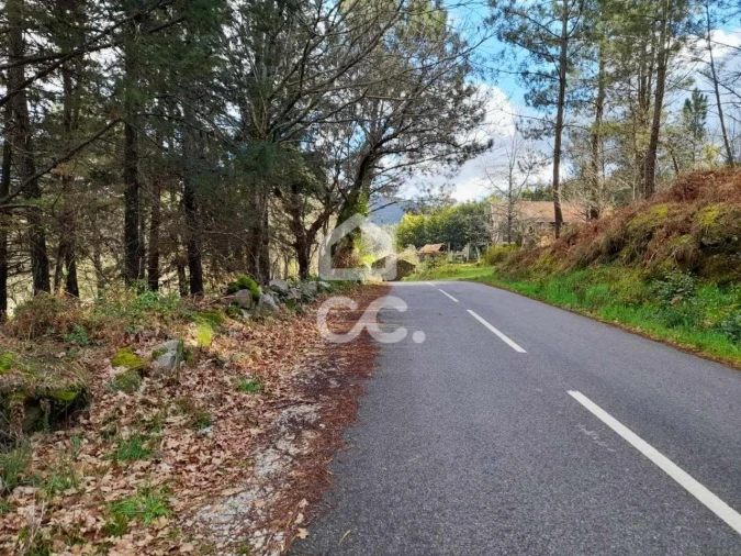 Quinta para Venda em Alcofra Foto 18