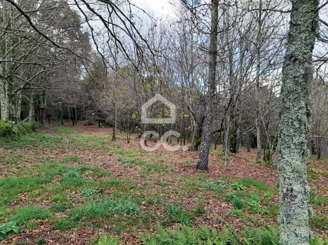 Quinta para Venda em Alcofra Foto 16