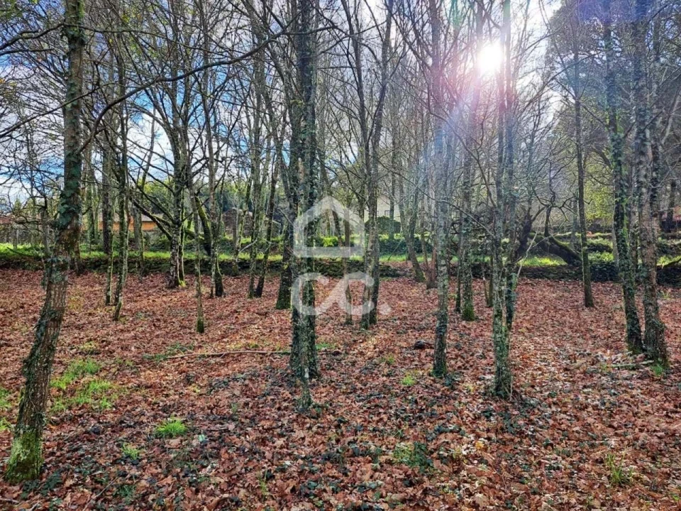 Quinta para Venda em Alcofra Foto 7