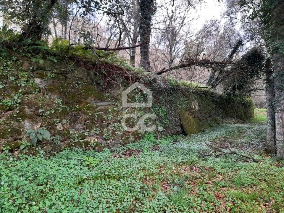 Quinta para Venda em Alcofra Foto 10