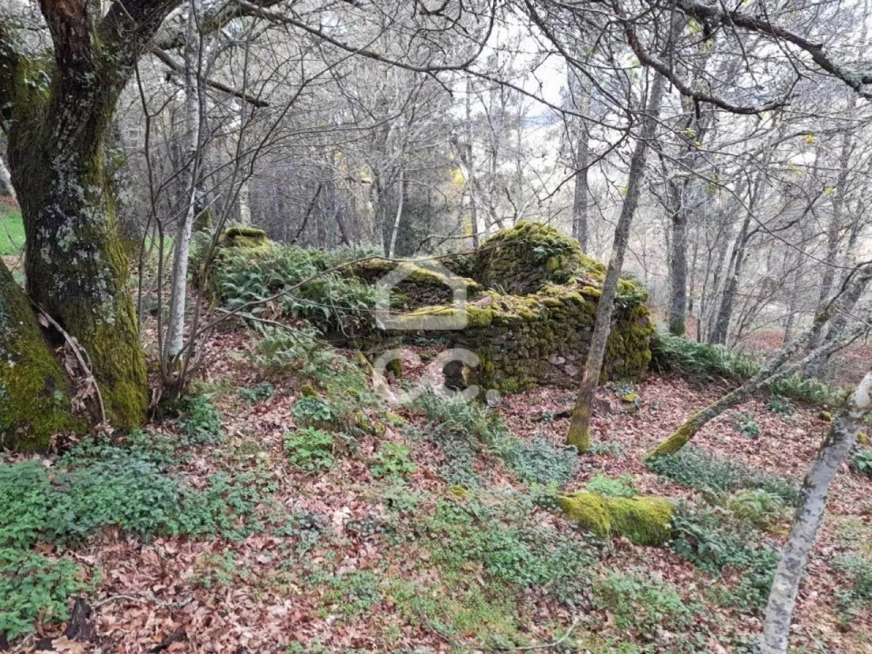 Quinta para Venda em Alcofra Foto 12