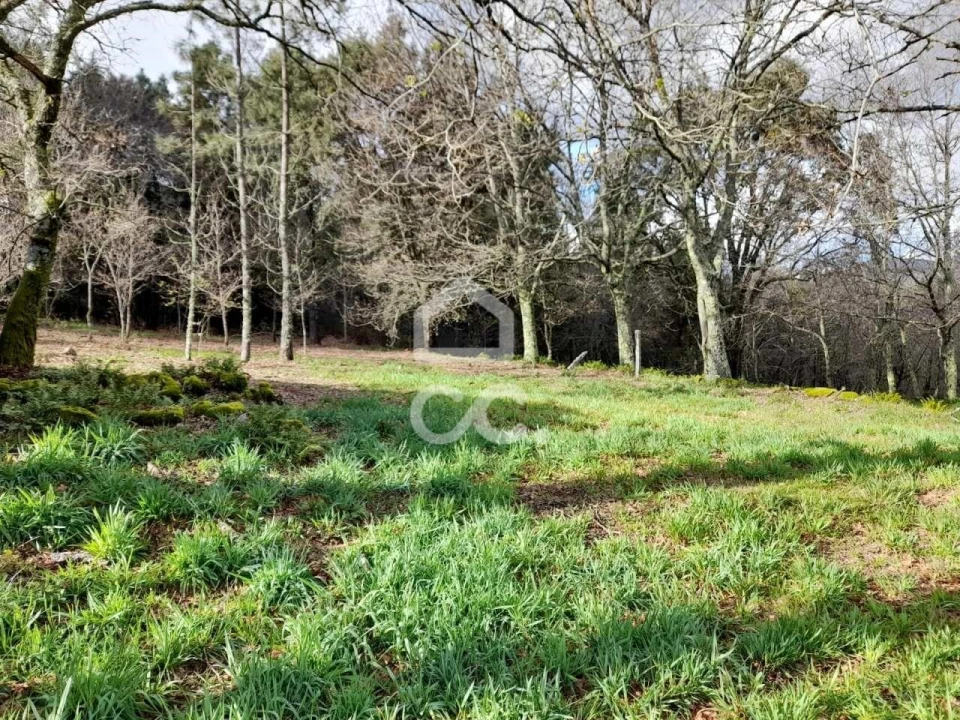 Quinta para Venda em Alcofra Foto 20