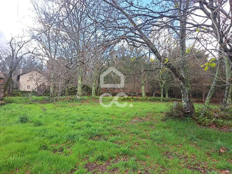 Quinta para Venda em Alcofra Foto 8