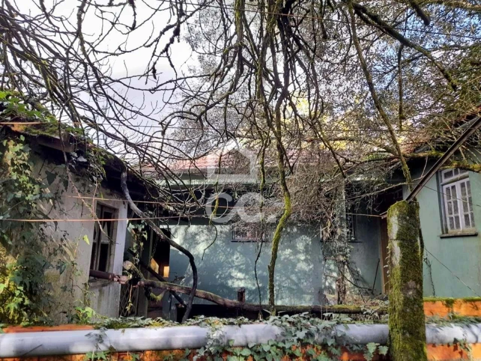 Quinta para Venda em Alcofra Foto 24