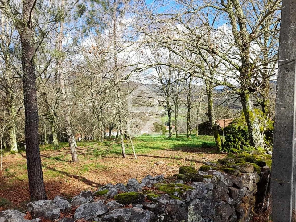 Quinta para Venda em Alcofra Foto 21
