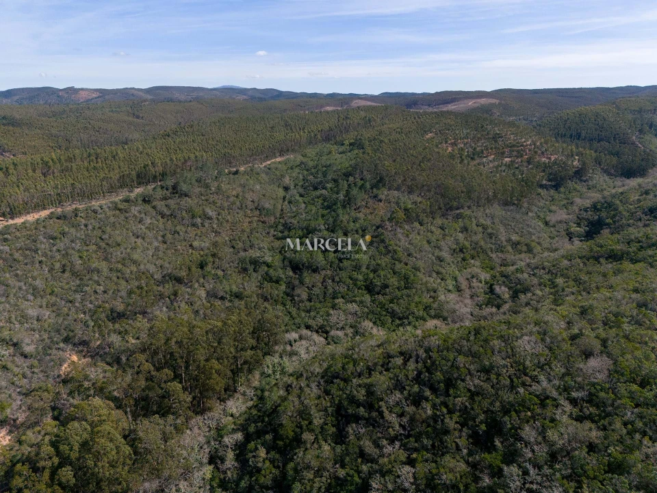Terreno Agricola ou Rústico para Venda em Aljezur Foto 14