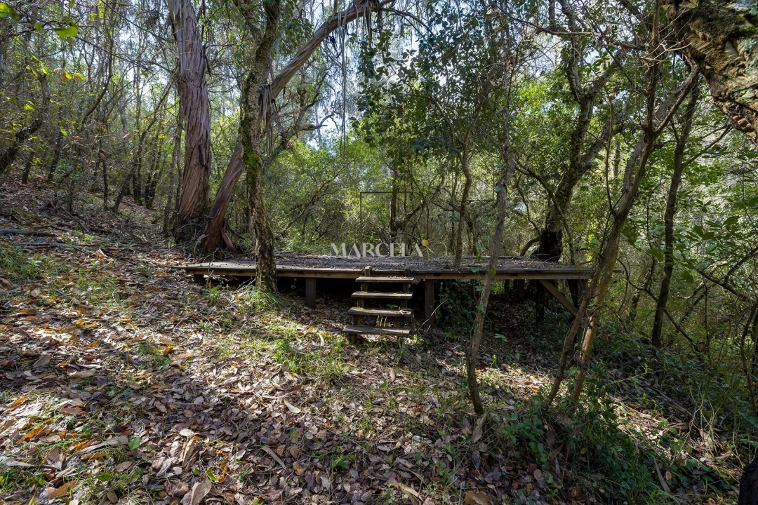 Terreno Agricola ou Rústico para Venda em Aljezur Foto 2
