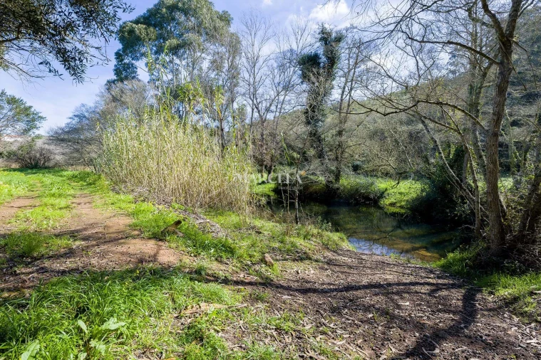 Terreno Agricola ou Rústico para Venda em Aljezur Foto 13