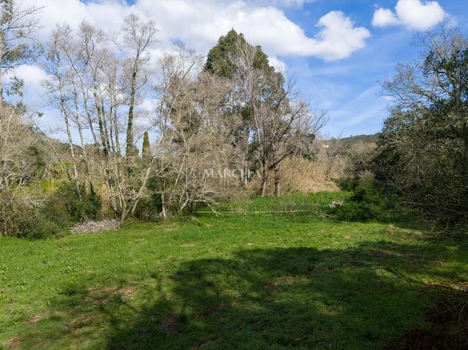 Terreno Agricola ou Rústico para Venda em Aljezur Foto 5