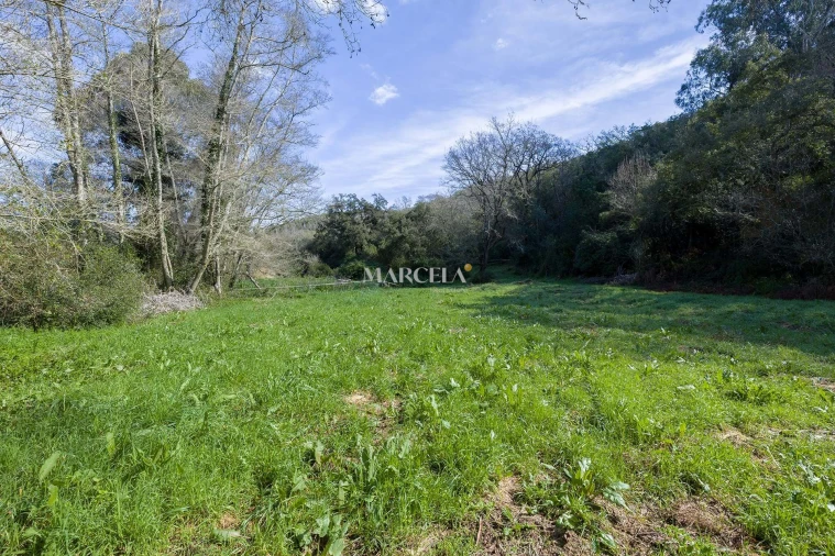 Terreno Agricola ou Rústico para Venda em Aljezur Foto 6