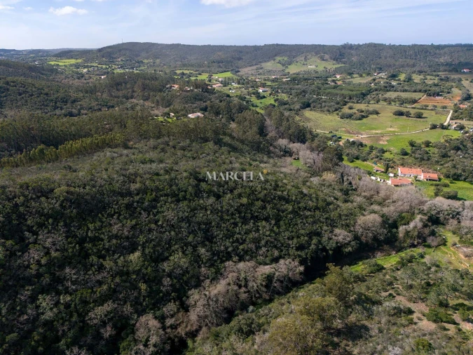 Terreno Agricola ou Rústico para Venda em Aljezur Foto 16