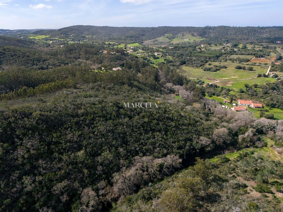 Terreno Agricola ou Rústico para Venda em Aljezur Foto 16