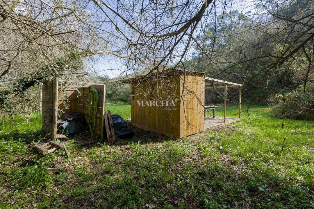 Terreno Agricola ou Rústico para Venda em Aljezur Foto 12
