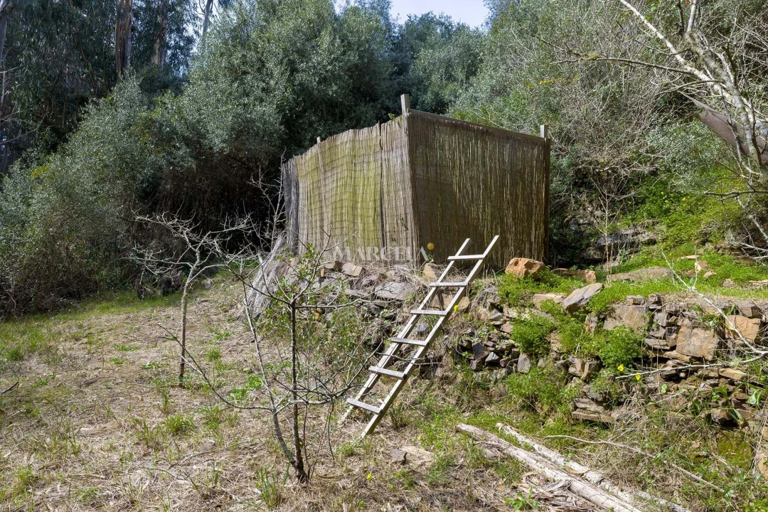 Terreno Agricola ou Rústico para Venda em Aljezur Foto 15