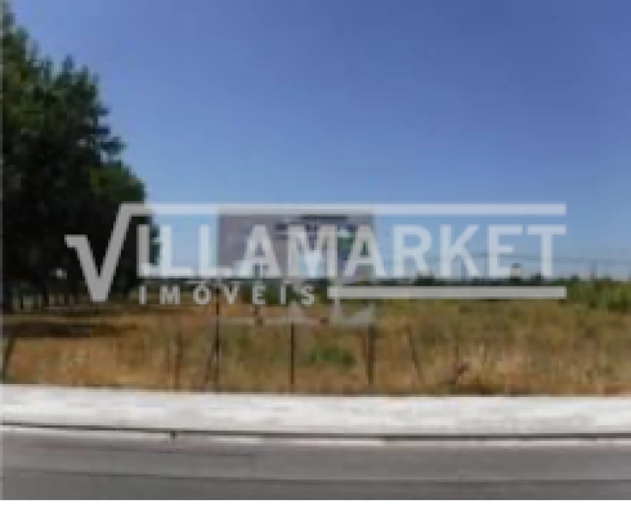 Terreno para Venda em Ponte de Sor, Tramaga e Vale de Açor Foto 8