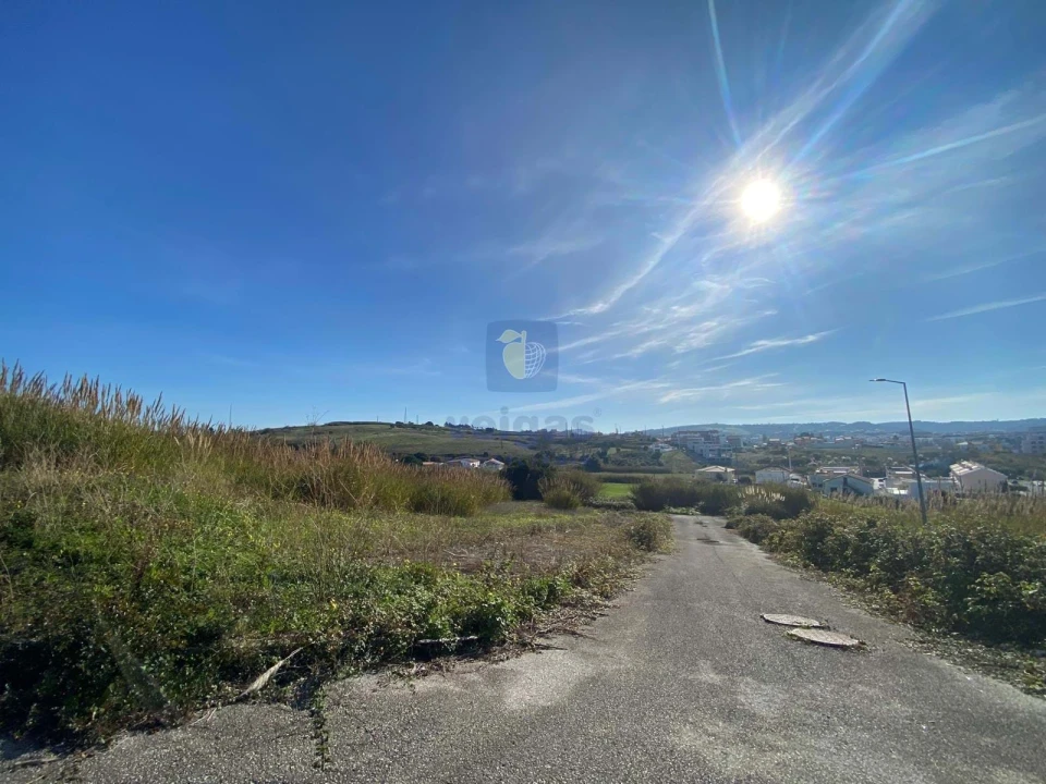 Terreno para Venda em Lourinhã e Atalaia Foto 8