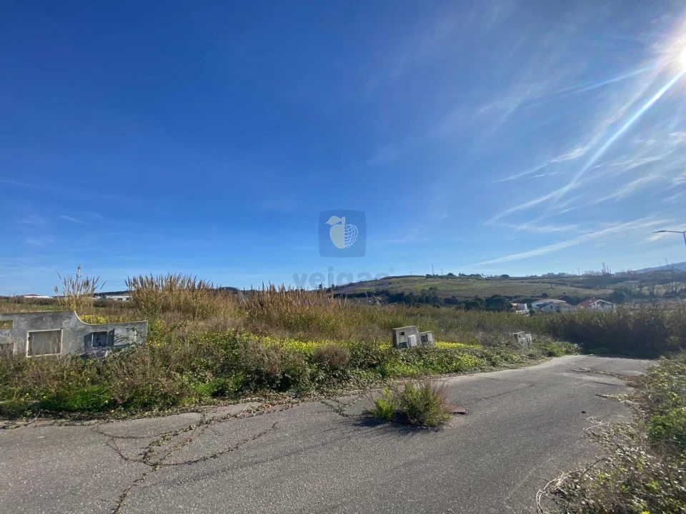 Terreno para Venda em Lourinhã e Atalaia Foto 7